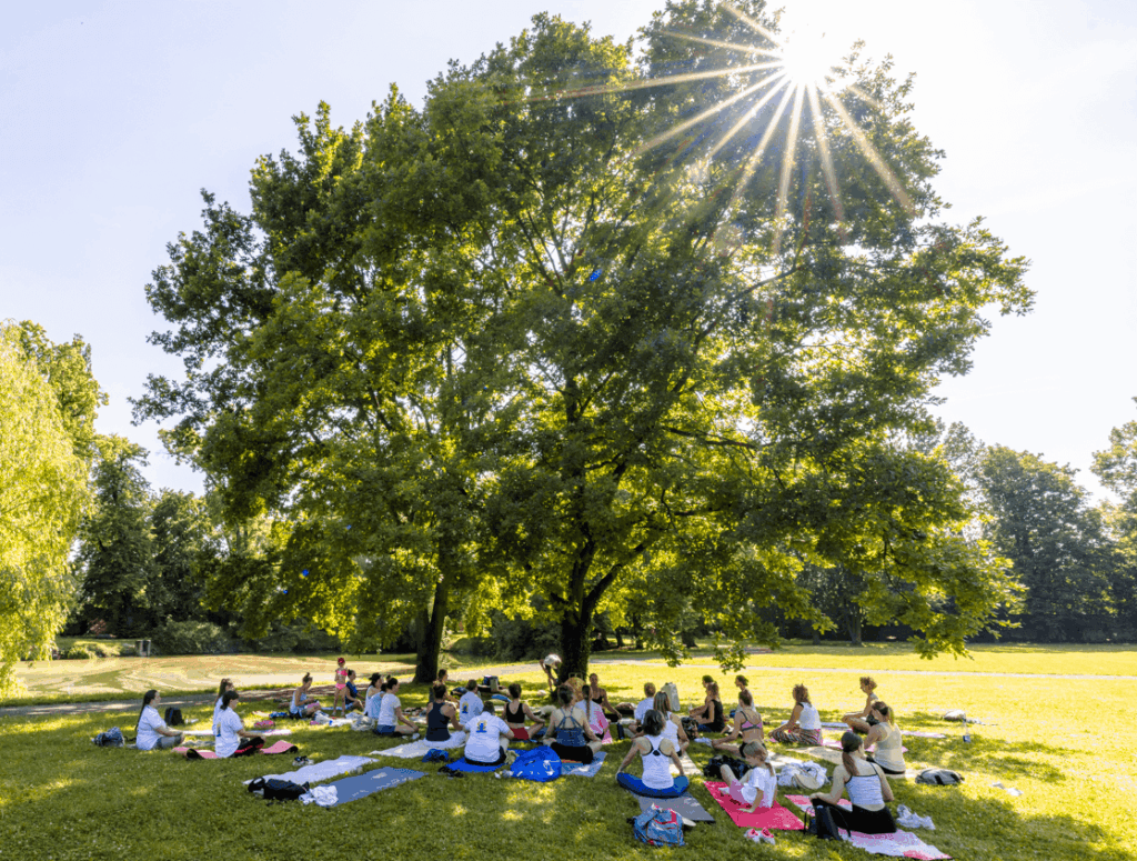 festival jogy pod širým nebem