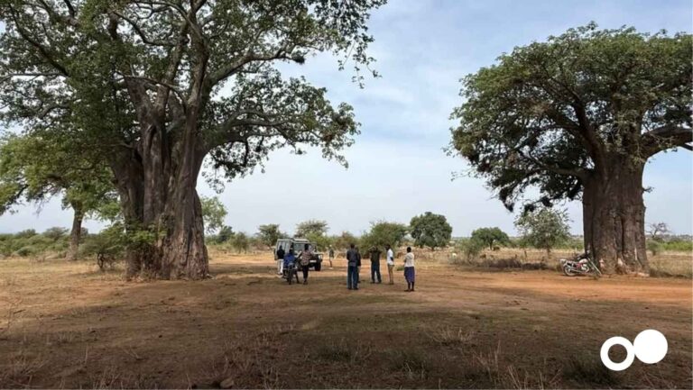 Večer o Tanzanii v LitoHUBu: příběhy, vůně Afriky, udržitelné podnikání, ochutnávka kávy MY TREES a inspirace k novým příležitostem. 22. 4. Litoměřice.