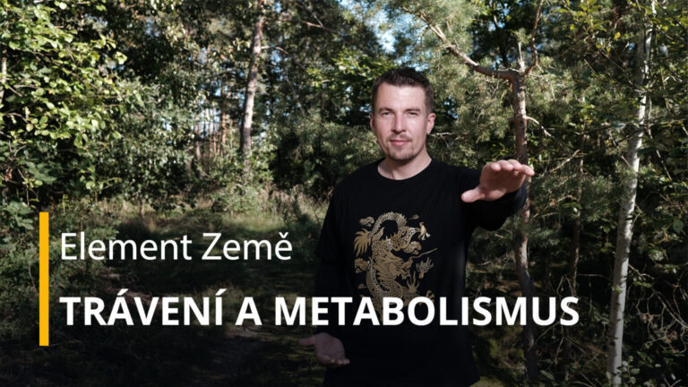 Trávení a metabolismus – lekce s Martinem Businským